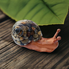 Resin Snail Resin Art
