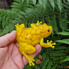 Yellow Resin Yellow Pebbles Resin Frog (4)