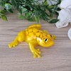 Yellow Resin Yellow Pebbles Resin Frog (4)