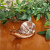 Bronze Resin Clear Hologrphic Resin Snail Small (5)