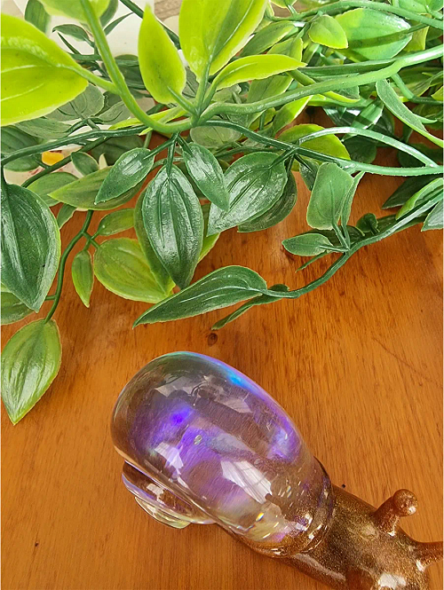 Bronze Resin Clear Hologrphic Resin Snail Small (5)